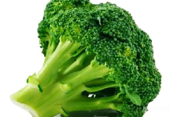 元素素材 西兰花