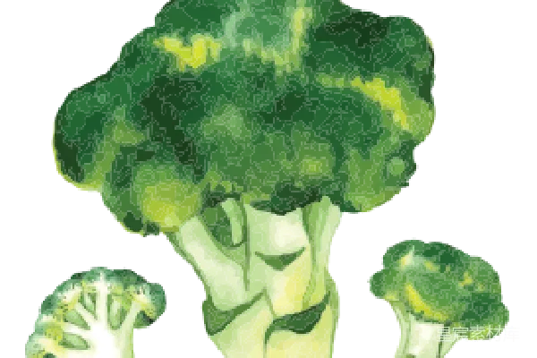 元素素材 卡通西兰花形象