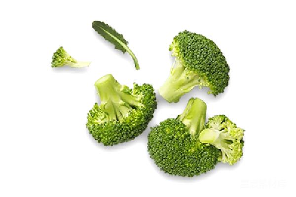 元素素材 西兰花