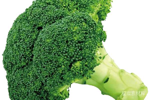 元素素材 broccoli