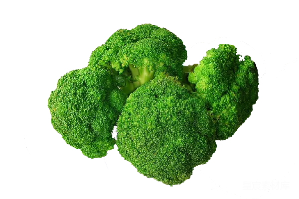 元素素材 西兰花