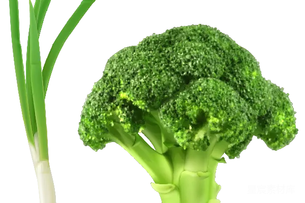 元素素材 西兰花