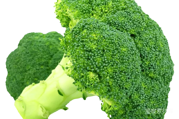 元素素材 broccoli