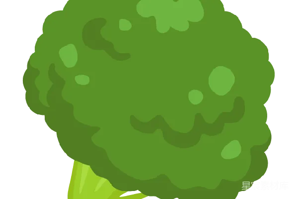元素素材 西兰花