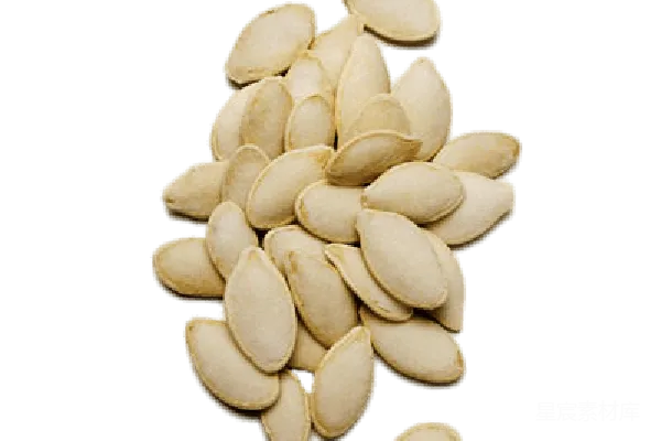 元素素材 PNG