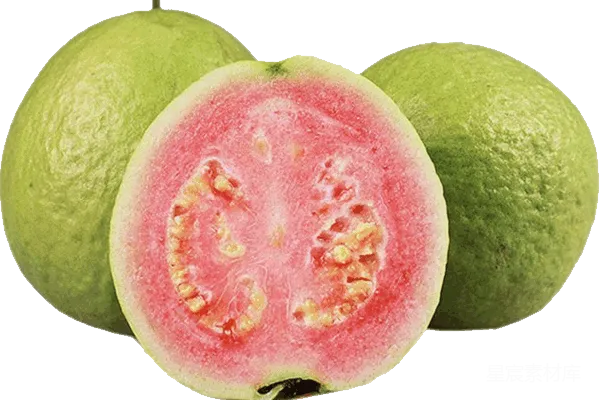 元素素材 谷歌增强套件（Guava）