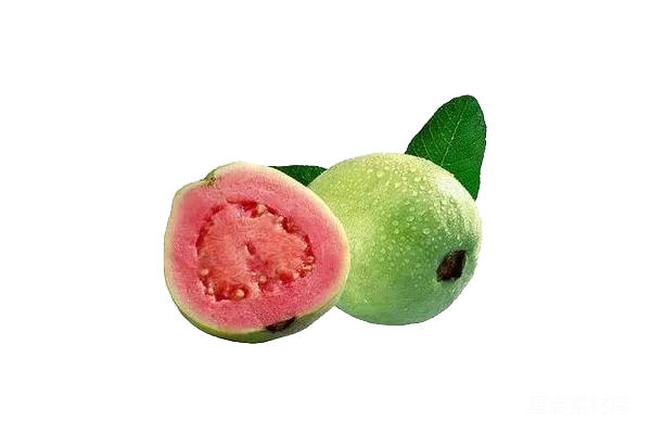 元素素材 谷歌 Guava
