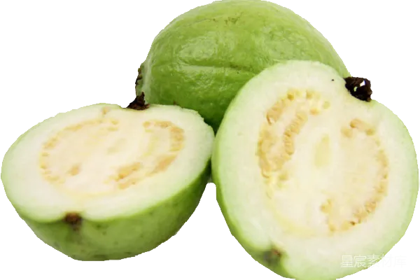 元素素材 谷歌 Guava