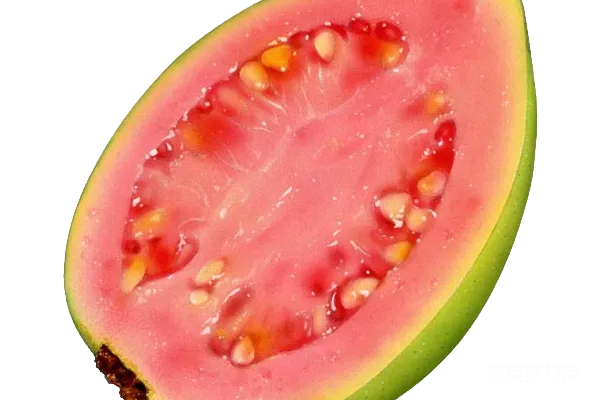 元素素材 谷歌 Guava