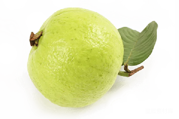 元素素材 谷歌 Guava 菜单