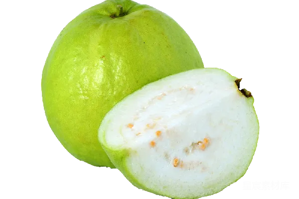 元素素材 谷歌 Güava