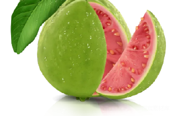 元素素材 谷歌 Guava