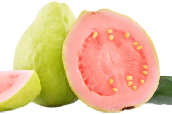 元素素材 谷歌 Guava