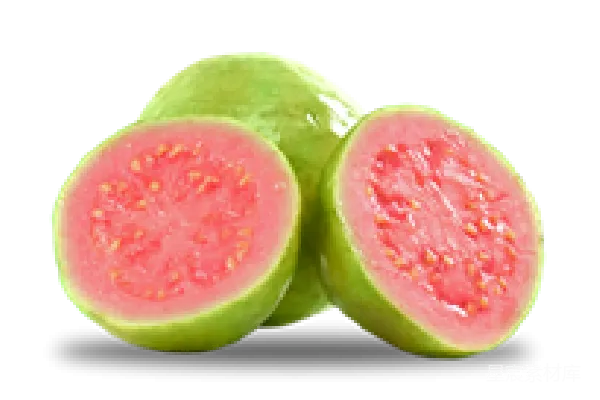 元素素材 谷歌 Guava