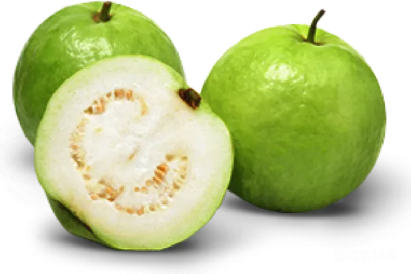 元素素材 谷歌 Guava