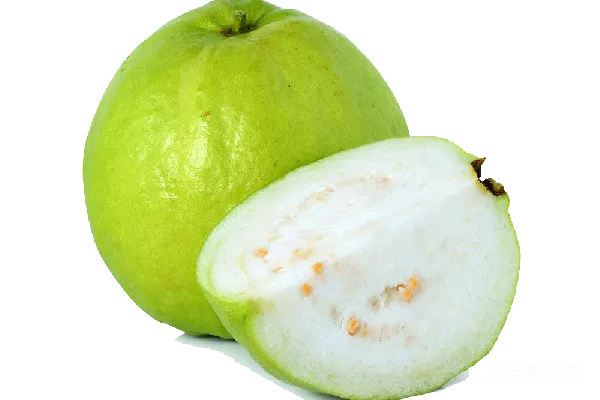 元素素材 谷歌 Guava