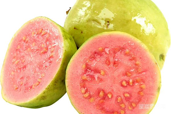 元素素材 谷歌Guava库