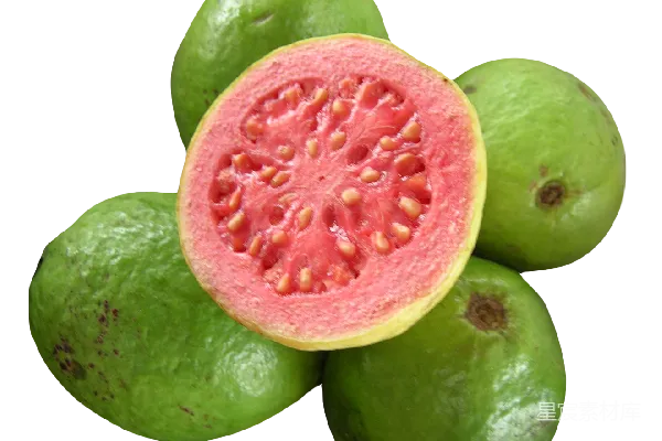 元素素材 谷歌 Guava