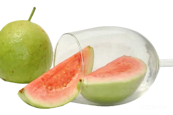 元素素材 谷歌 Guava