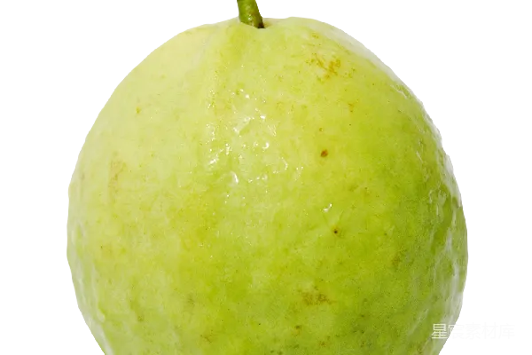元素素材 谷歌Guava库