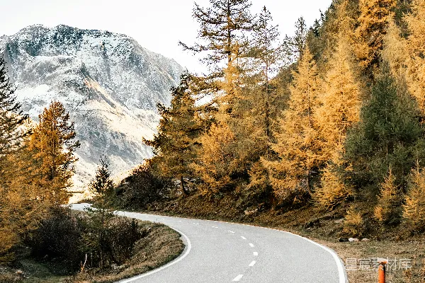 高清摄影 山林间白天蜿蜒的道路