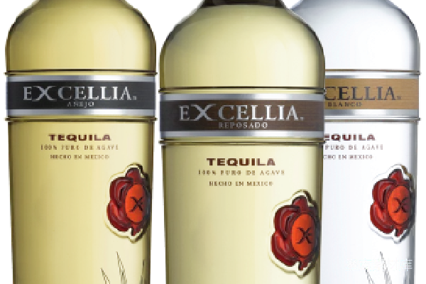元素素材 Excellia Tequila Bottles with Colorful Background