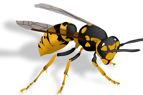 元素素材 卡通黄蜂