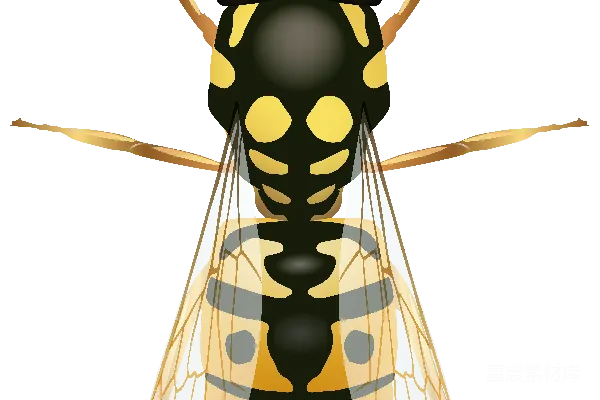 元素素材 黄蜂