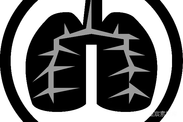 元素素材 肺