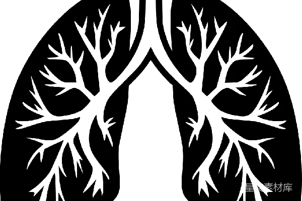 元素素材 透明