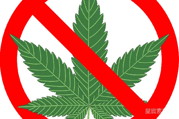 元素素材 没有