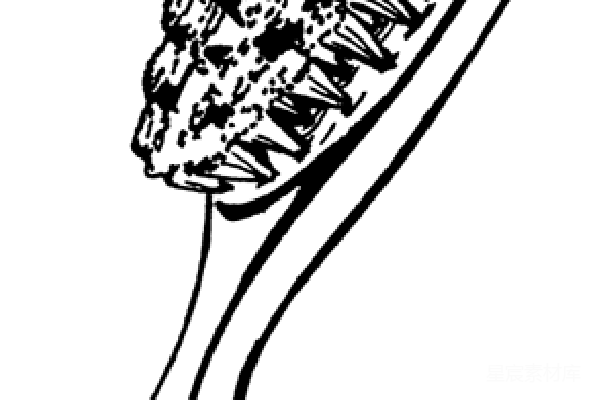 元素素材 透明