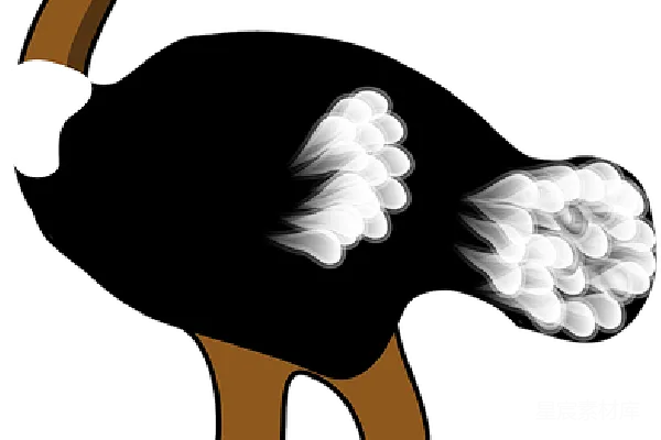 元素素材 透明