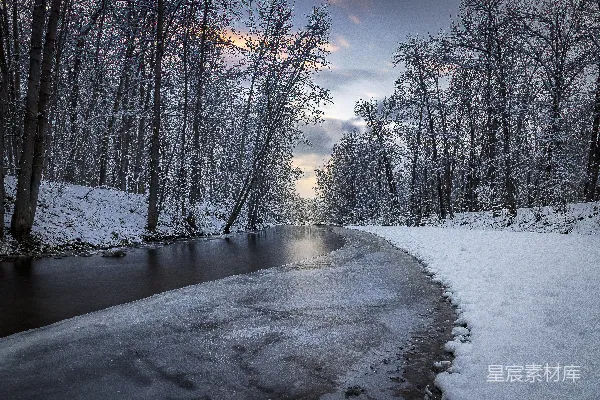 高清摄影 树间小溪覆盖着白雪