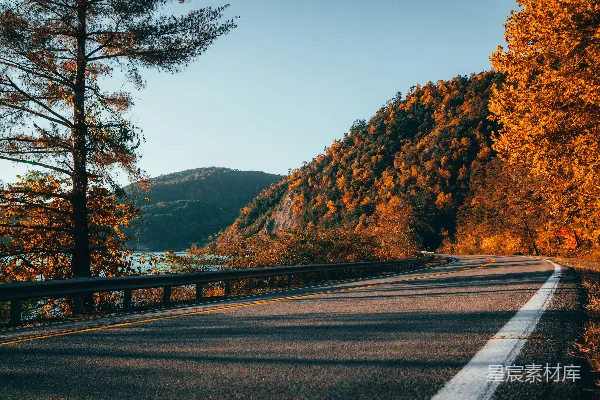 高清摄影 背景中有树木和山景的风景道路