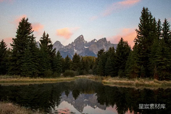 高清摄影 湖边白天的翠绿松树