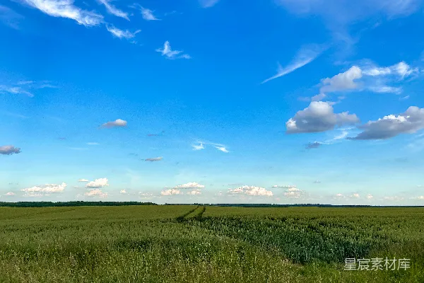 高清摄影 白天绿草地上方是蓝天