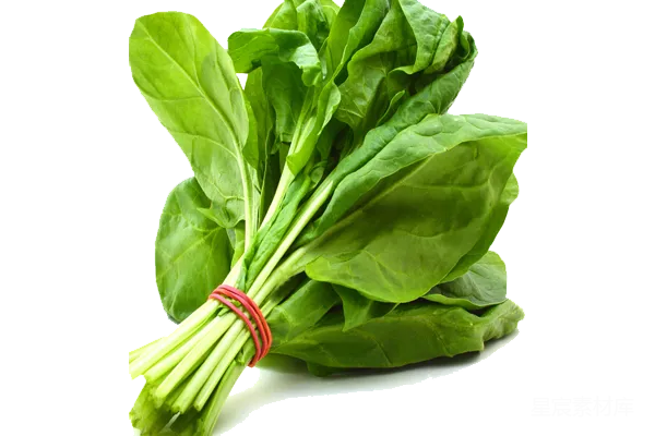 元素素材 新鲜菠菜