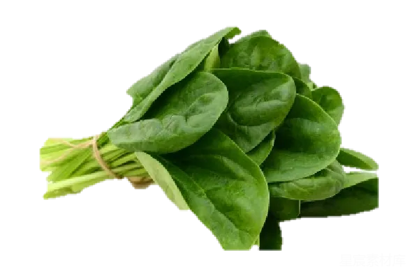 元素素材 透明