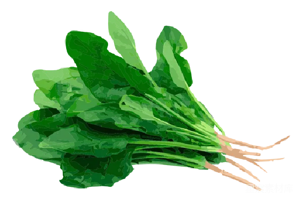元素素材 菠菜