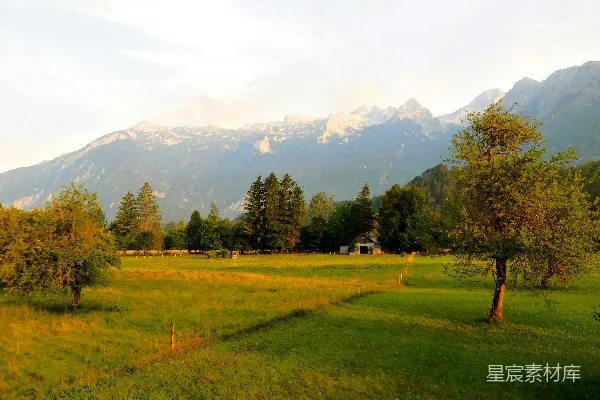 高清摄影 背景中有草甸、树木和山峰的草地