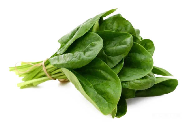 元素素材 菠菜