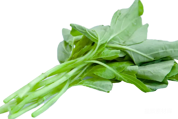 元素素材 菠菜