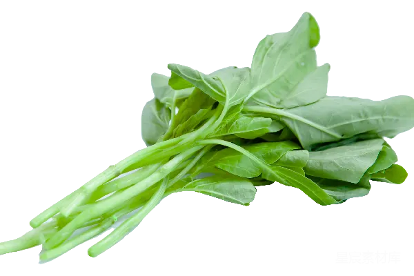 元素素材 新鲜菠菜