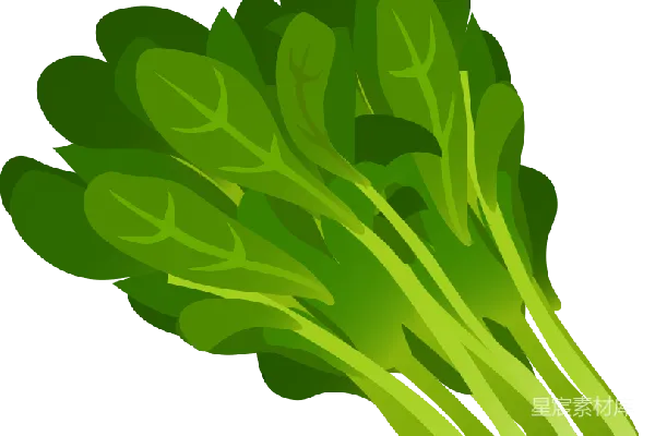 元素素材 菠菜