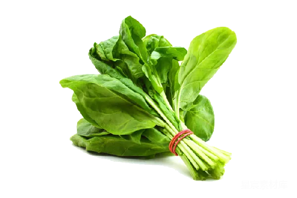 元素素材 菠菜