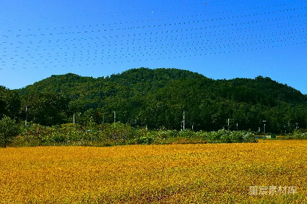 高清摄影 背景中有山的一片田野