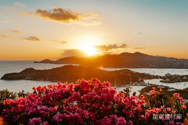 高清摄影 岛上有花的 Stunning 日落。