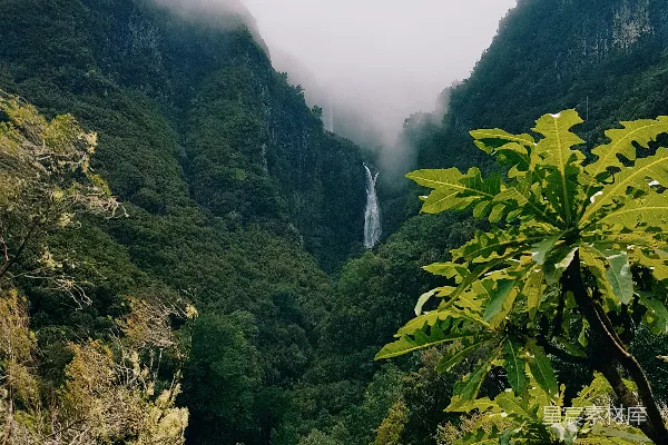 高清摄影 森林中瀑布的一角