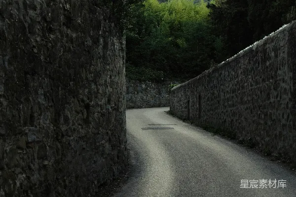 高清摄影 路边有树的小路